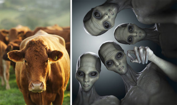 Aliens-mutilate-oregon-cattle-crimeshop